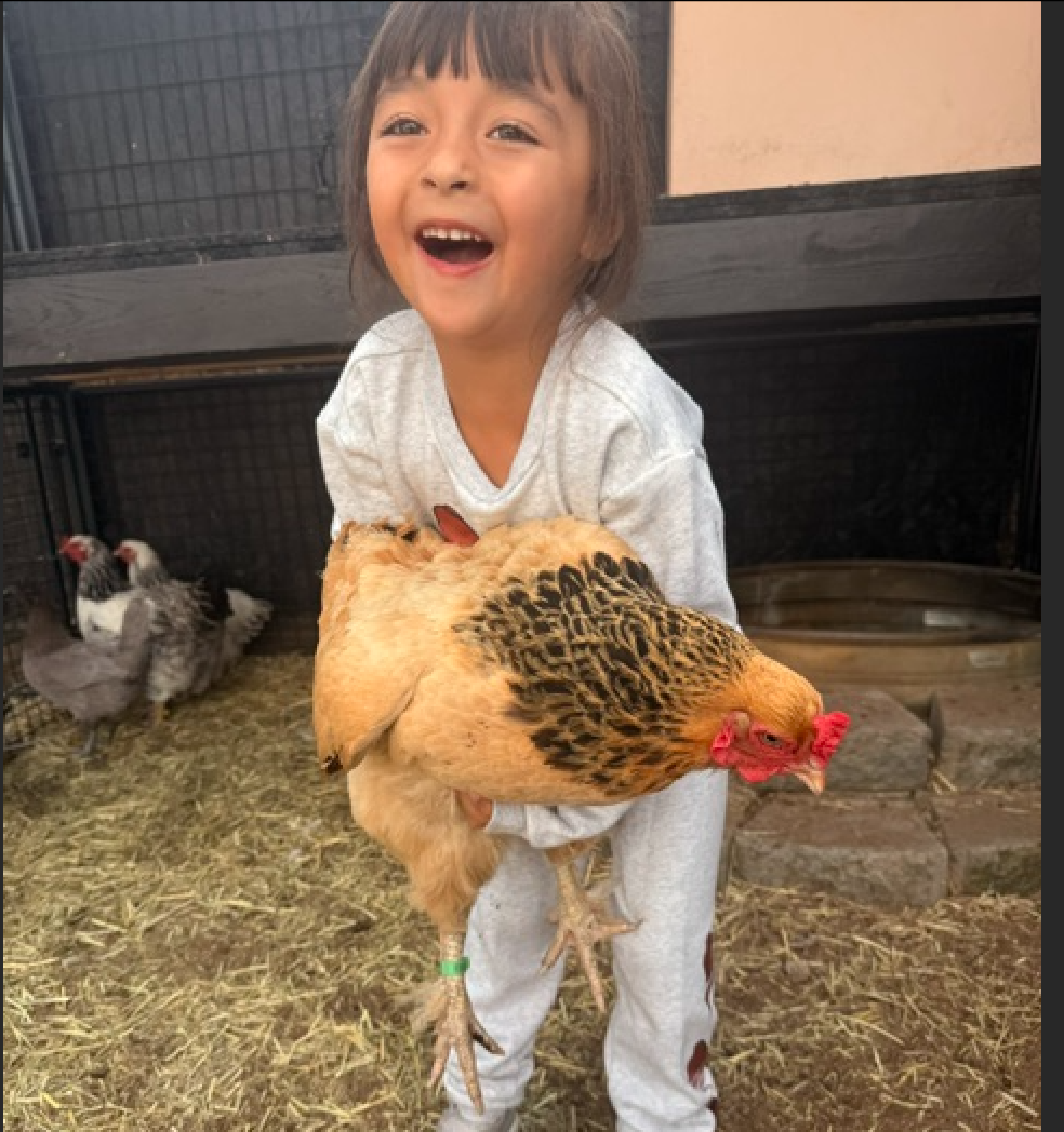 Happy Hens Coop