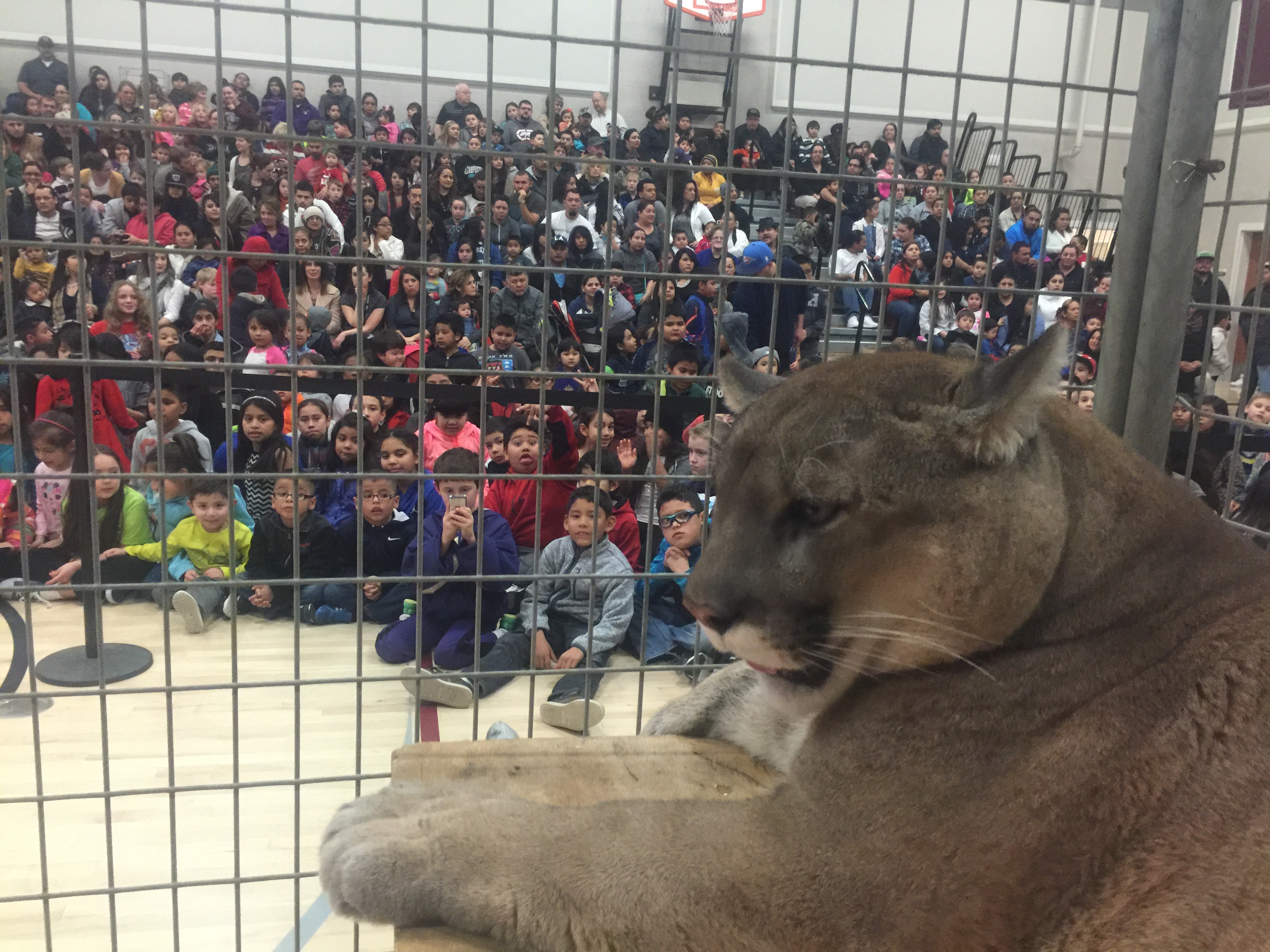 Wildlife Discovery Day (2025)