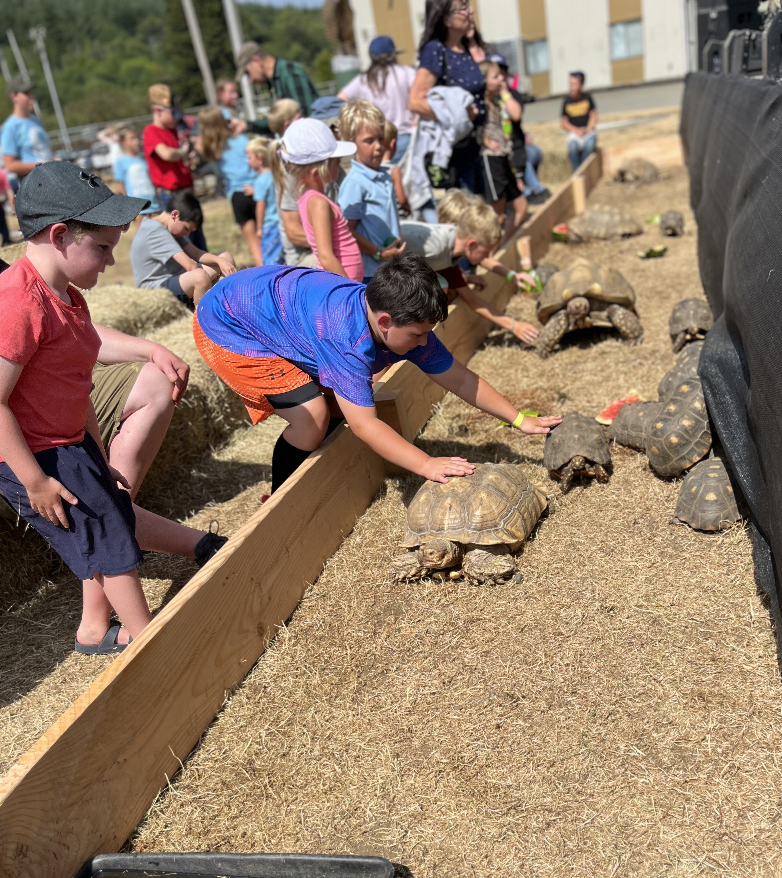 Fall Festival (2024)